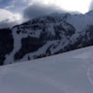 Meet your Posher, Sydney